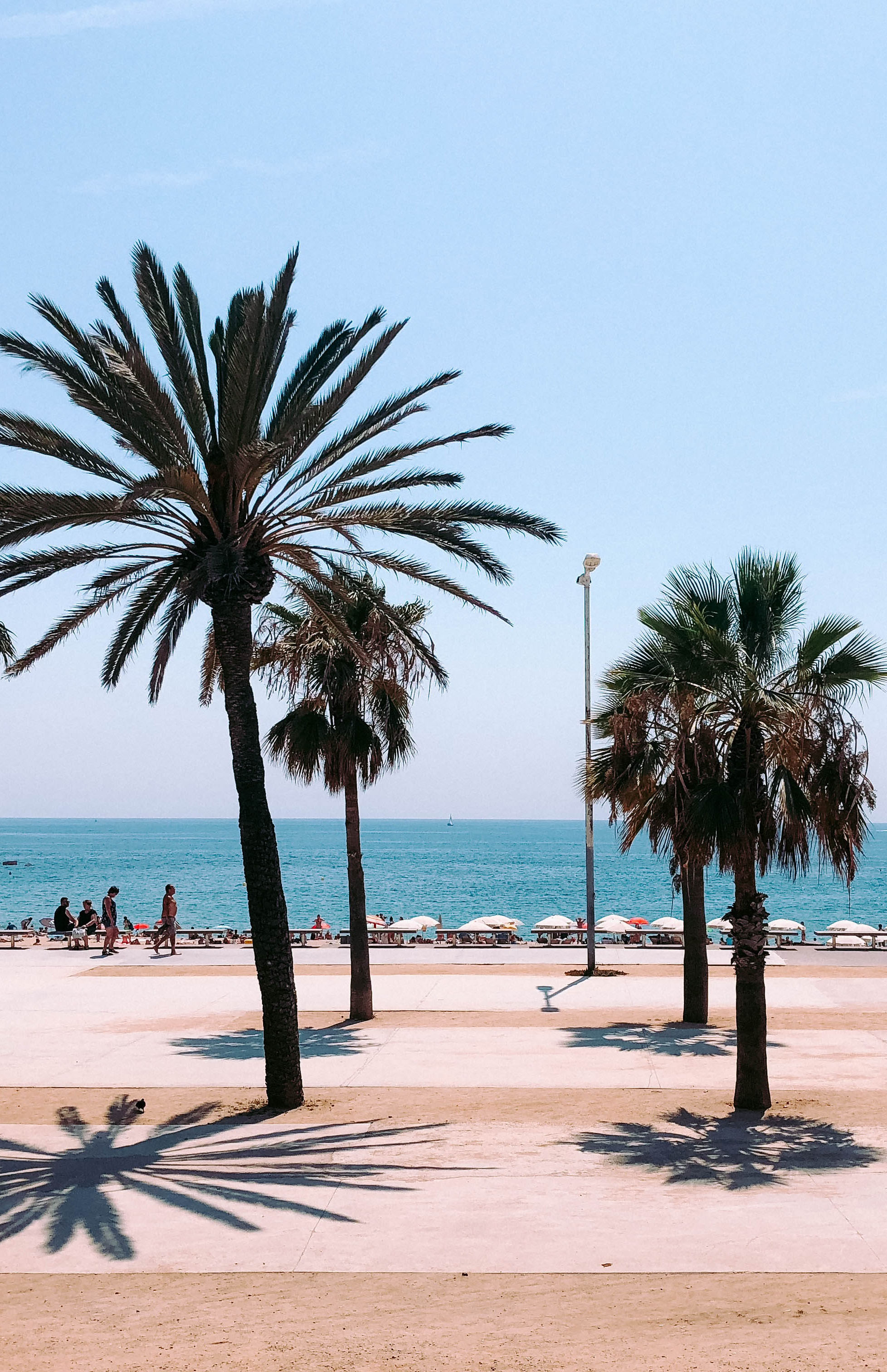 Strandpromenade von Barcelona, Städtereise Barcelona mit Flug & Hotel