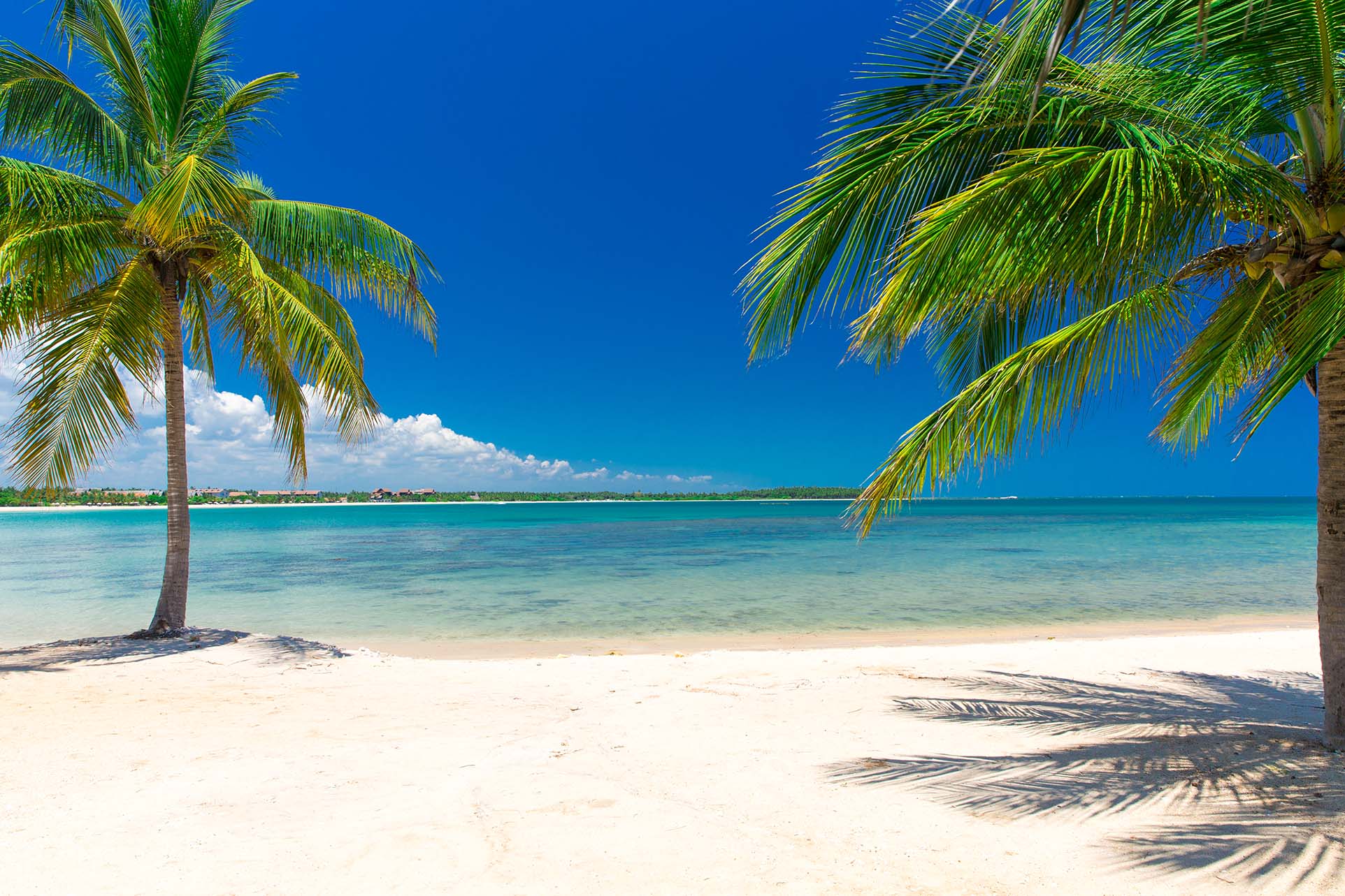 Strandurlaub am Meer mit Palmen, Pauschalreise mit Flug & Hotel von AurumTours